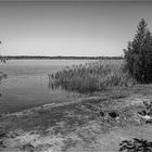 Am großen See 