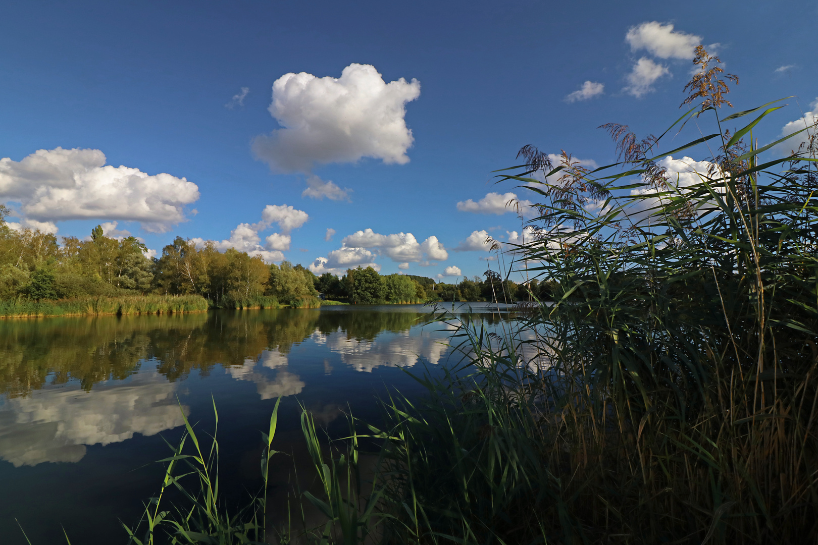 Am Großen See