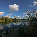 Am Großen See