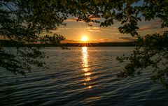 Am Großen Stechlinsee