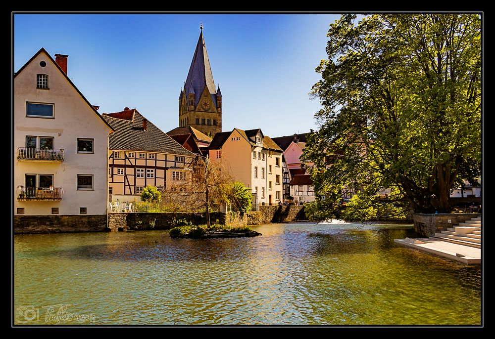 am großen Teich Foto & Bild deutschland, europe, nordrhein westfalen
