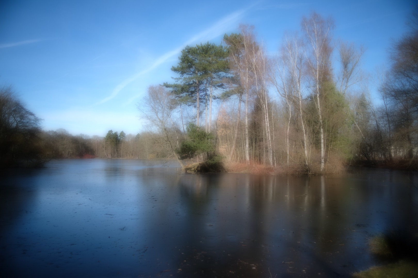 Am großen Teich