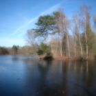 Am großen Teich