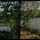 am großen teich