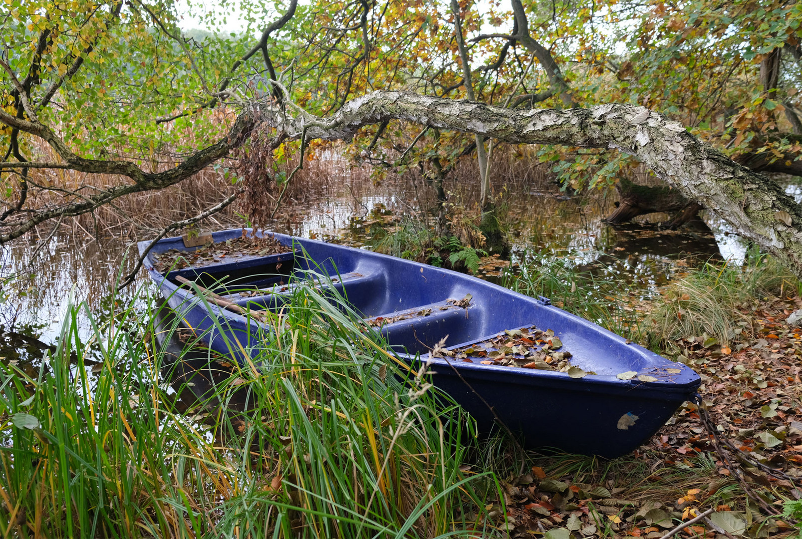 Am Großen Wentowsee