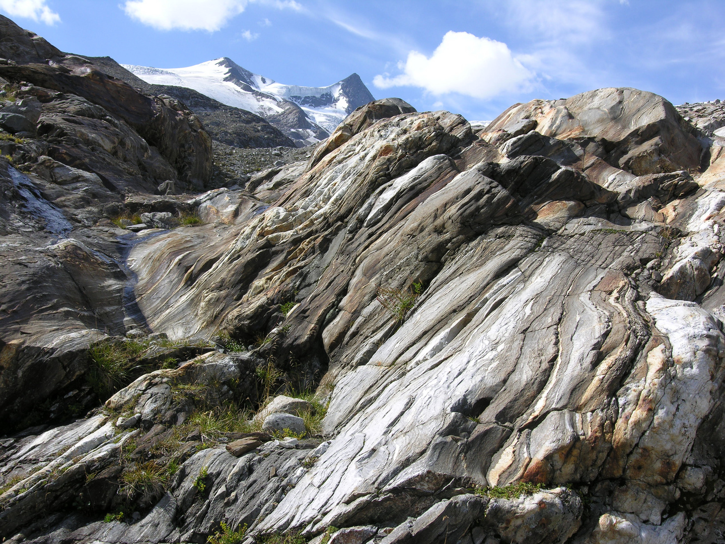 Am Großglockner-2