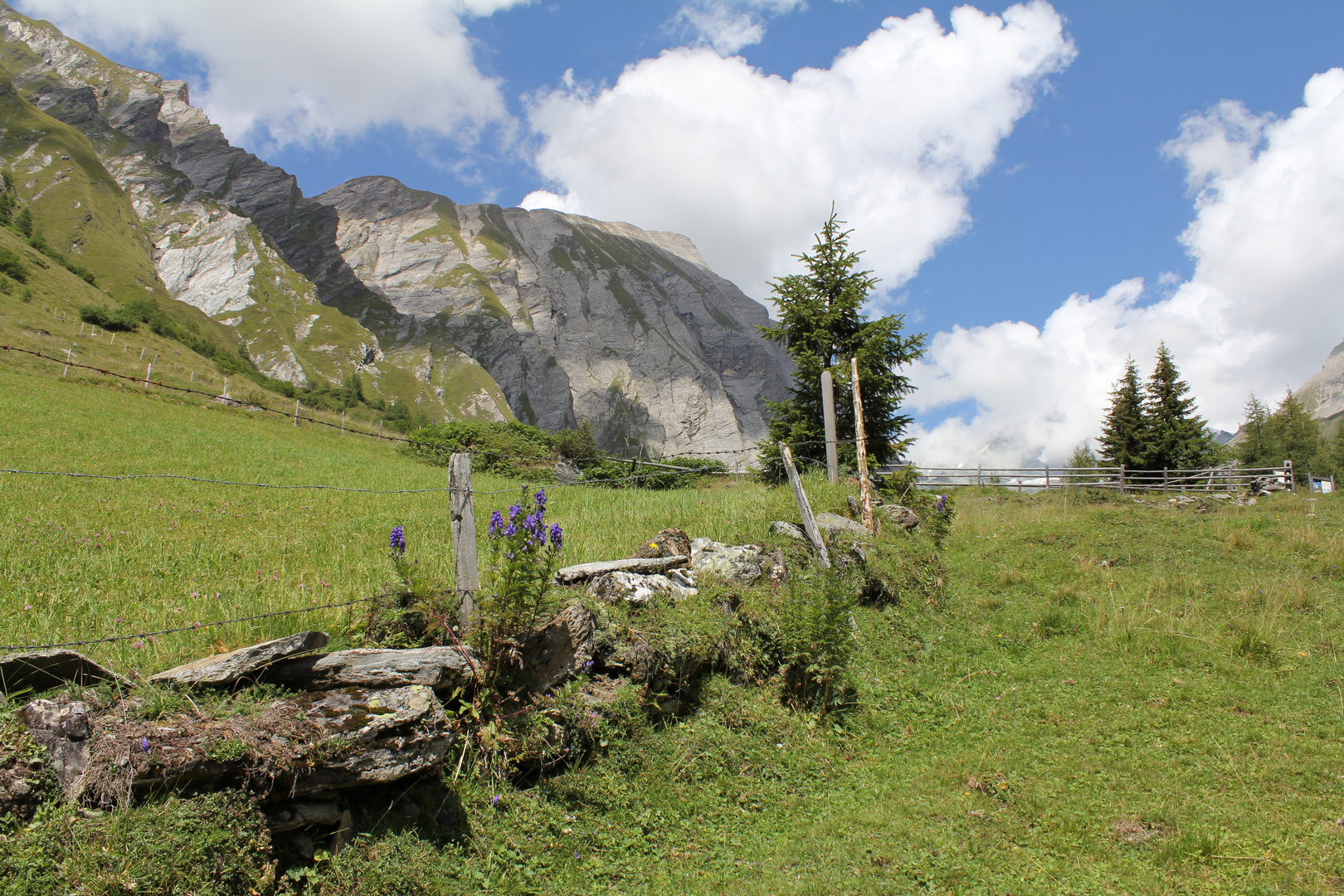 Am Großglockner