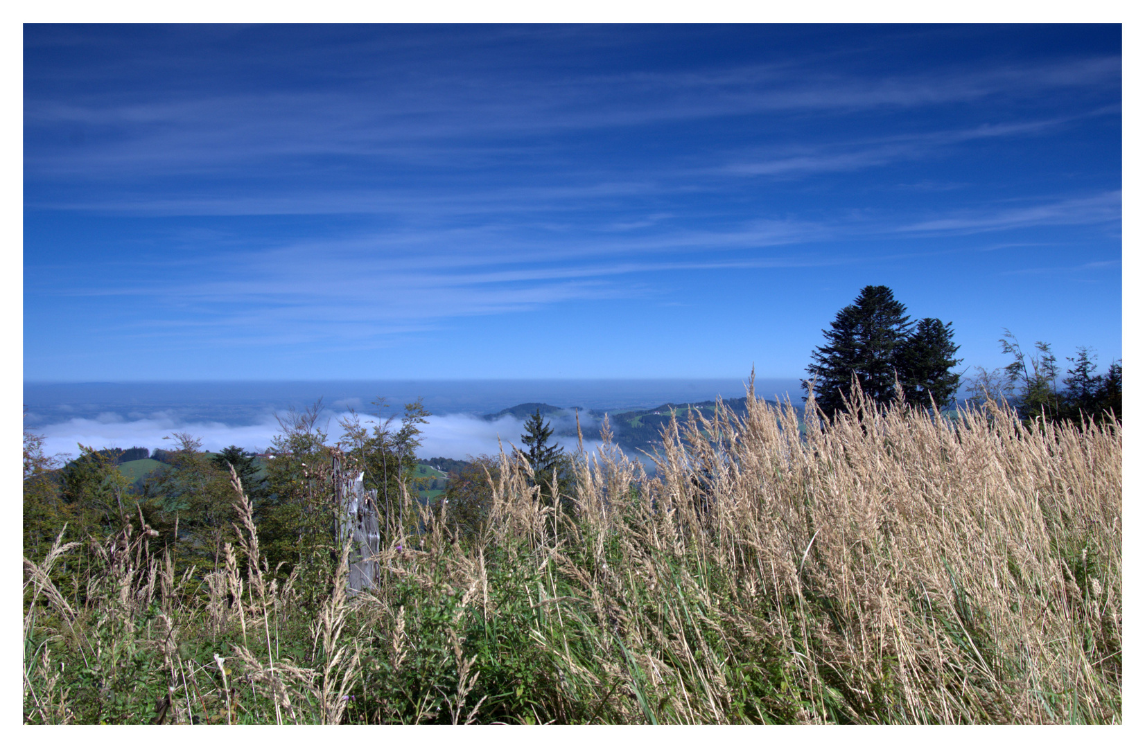 Am Grünberg 28.09.2014