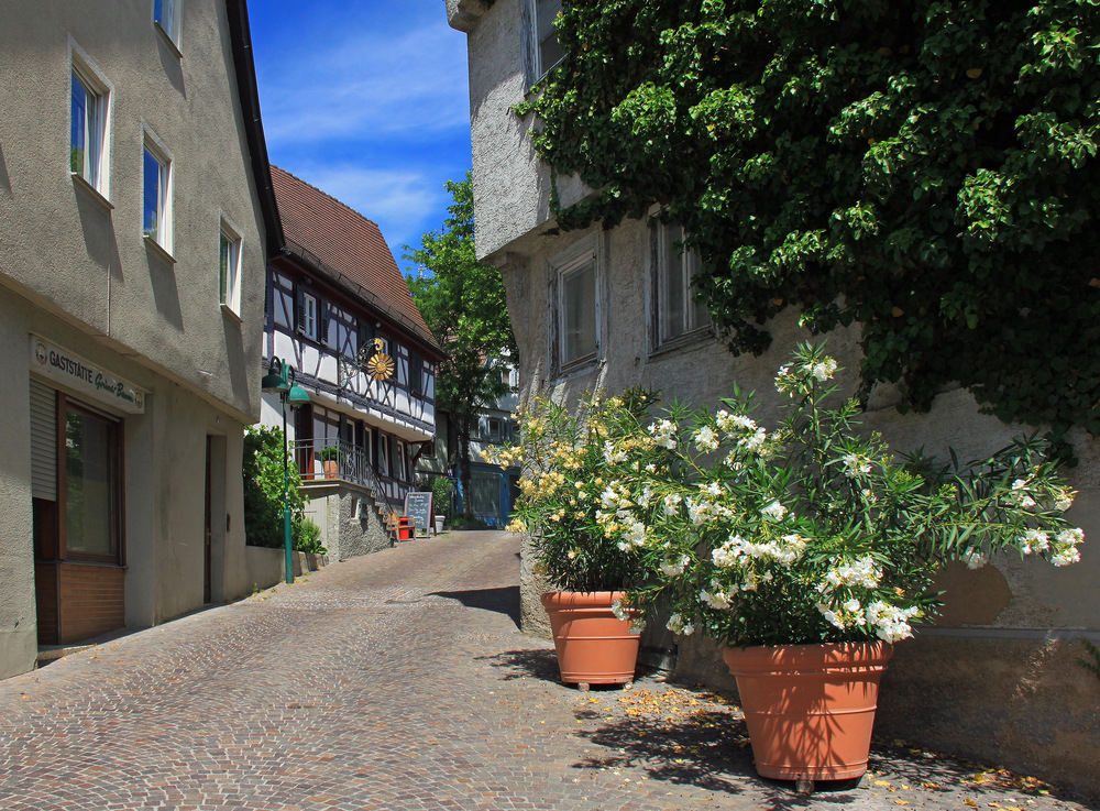 Am Grünen Baum