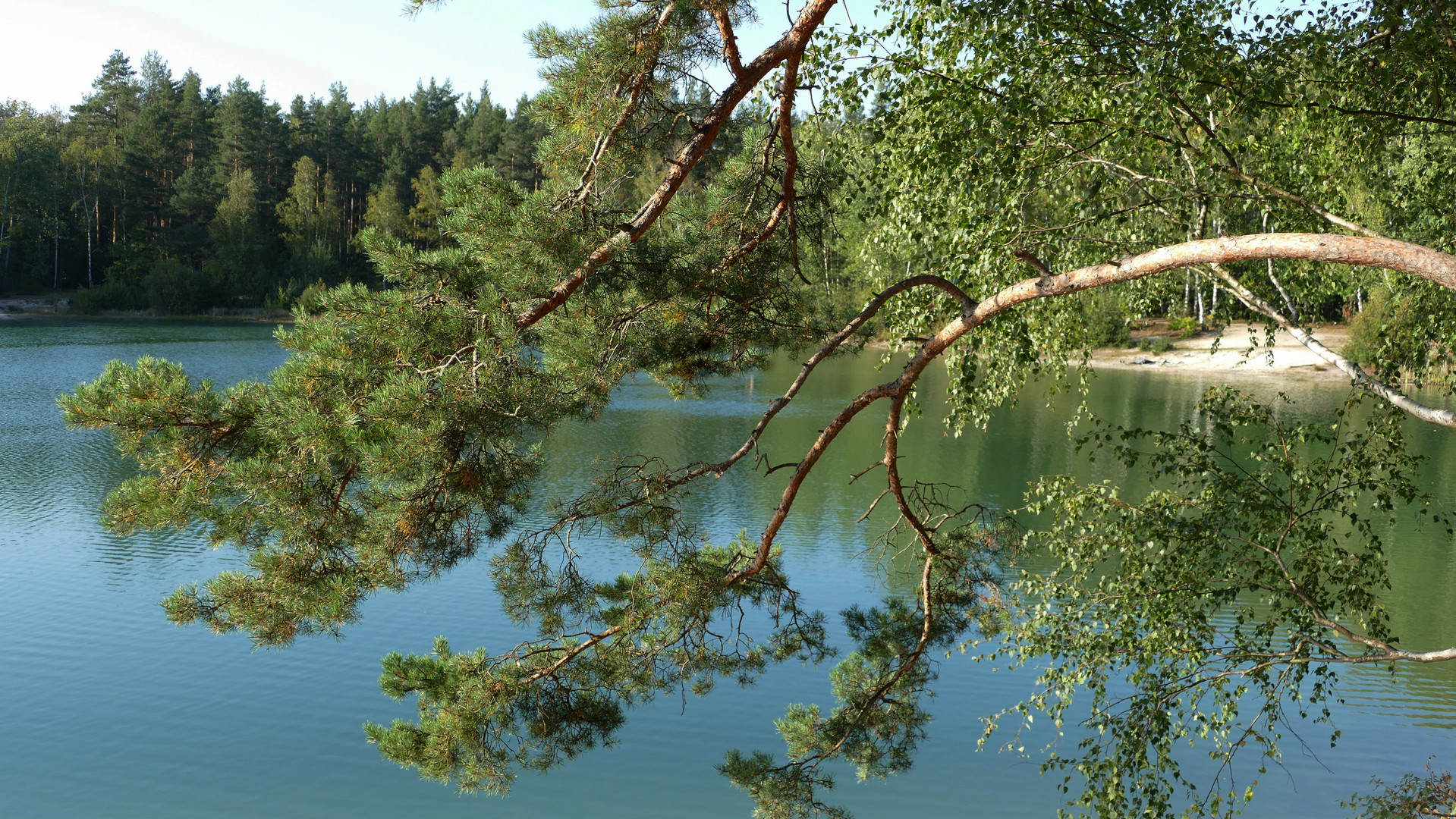 Am "Grünen Loch" bei Niesky