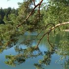 Am "Grünen Loch" bei Niesky