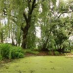 am grünen See