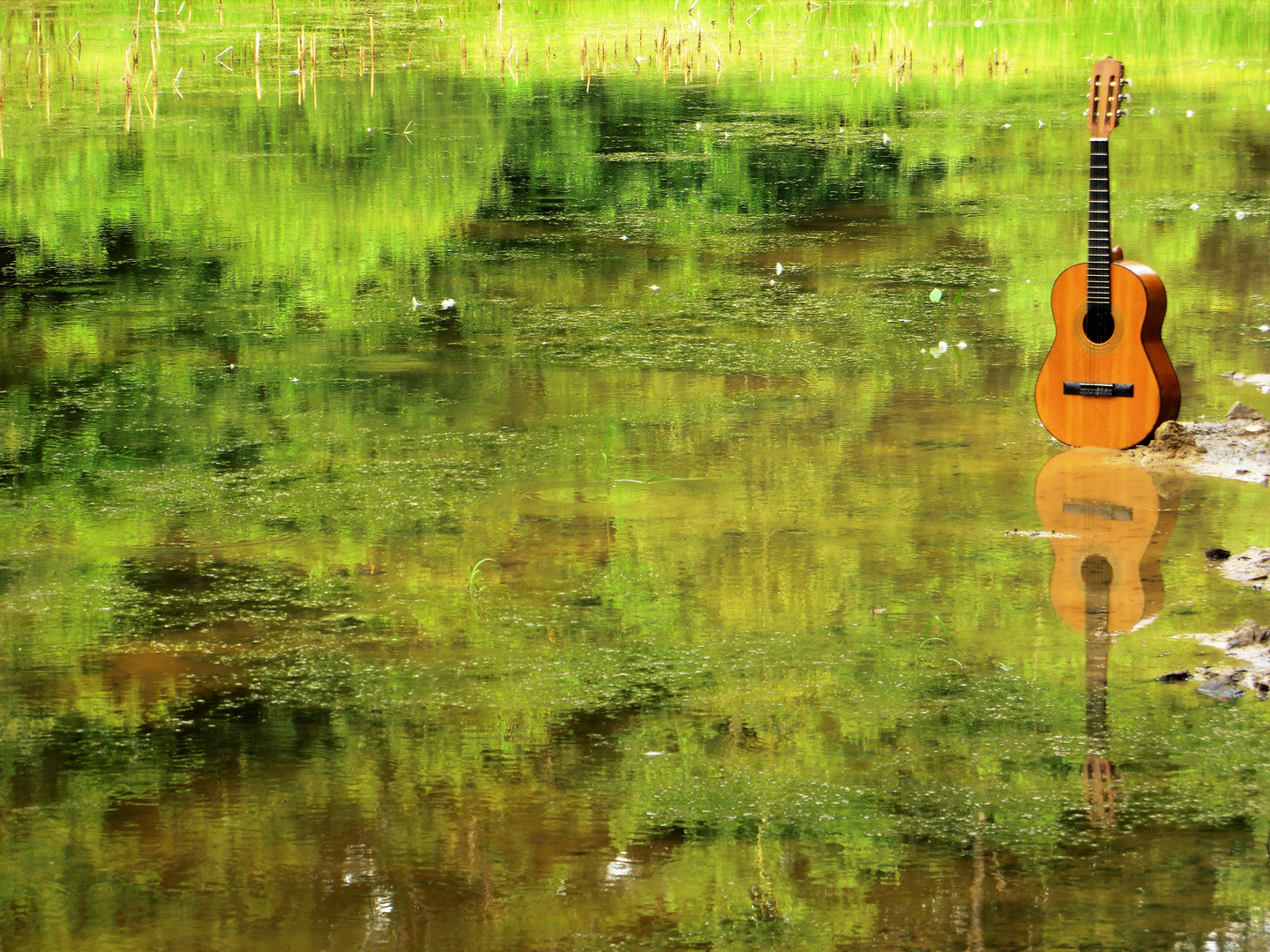 Am grünen Wasser