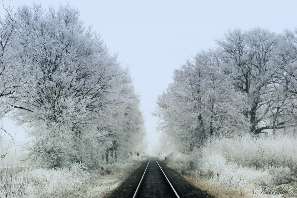 Am Grunde des Herzens eines jeden Winters...