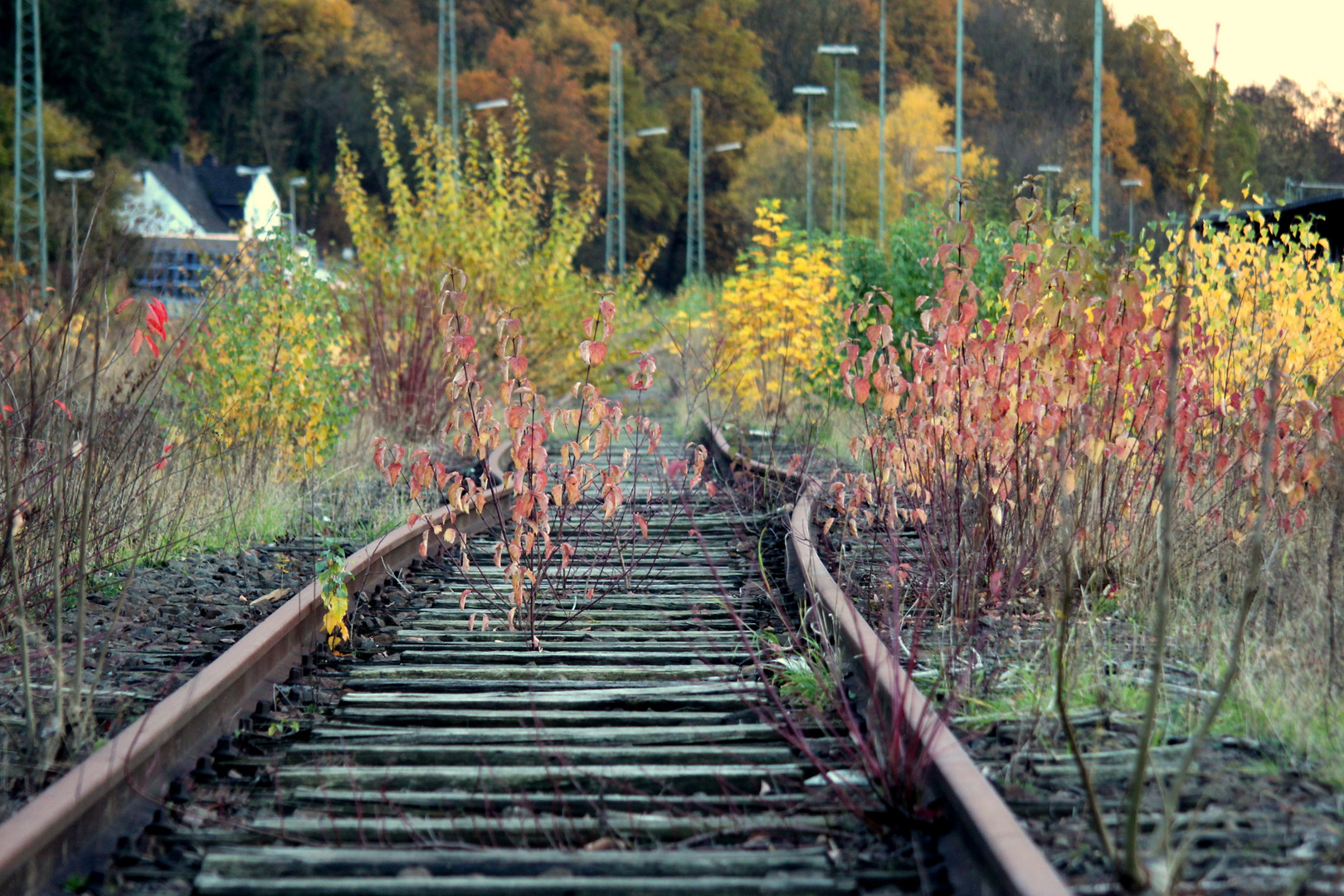 Am Güterbahnhof Herborn