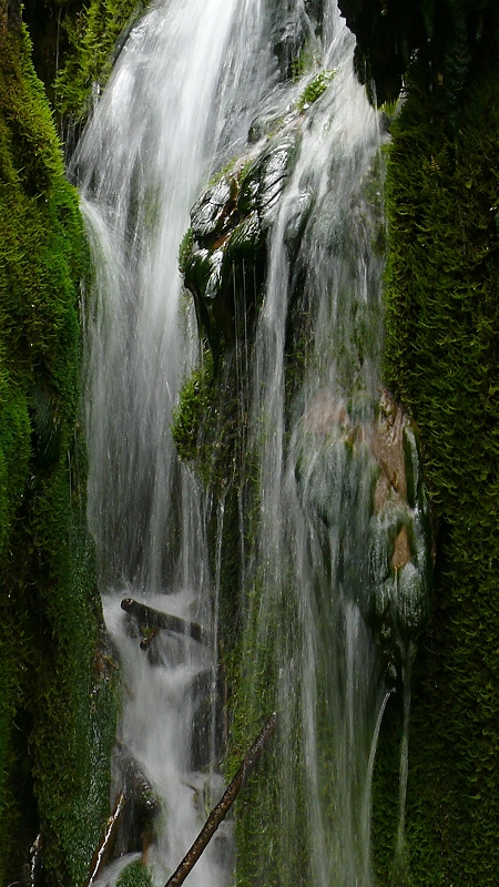 Am Gütersteiner Wasserfall (oberhalb) von OZO 