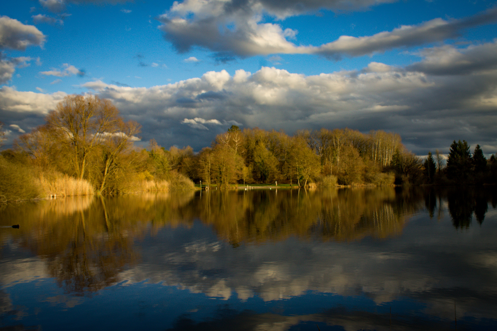 Am Güttinger See