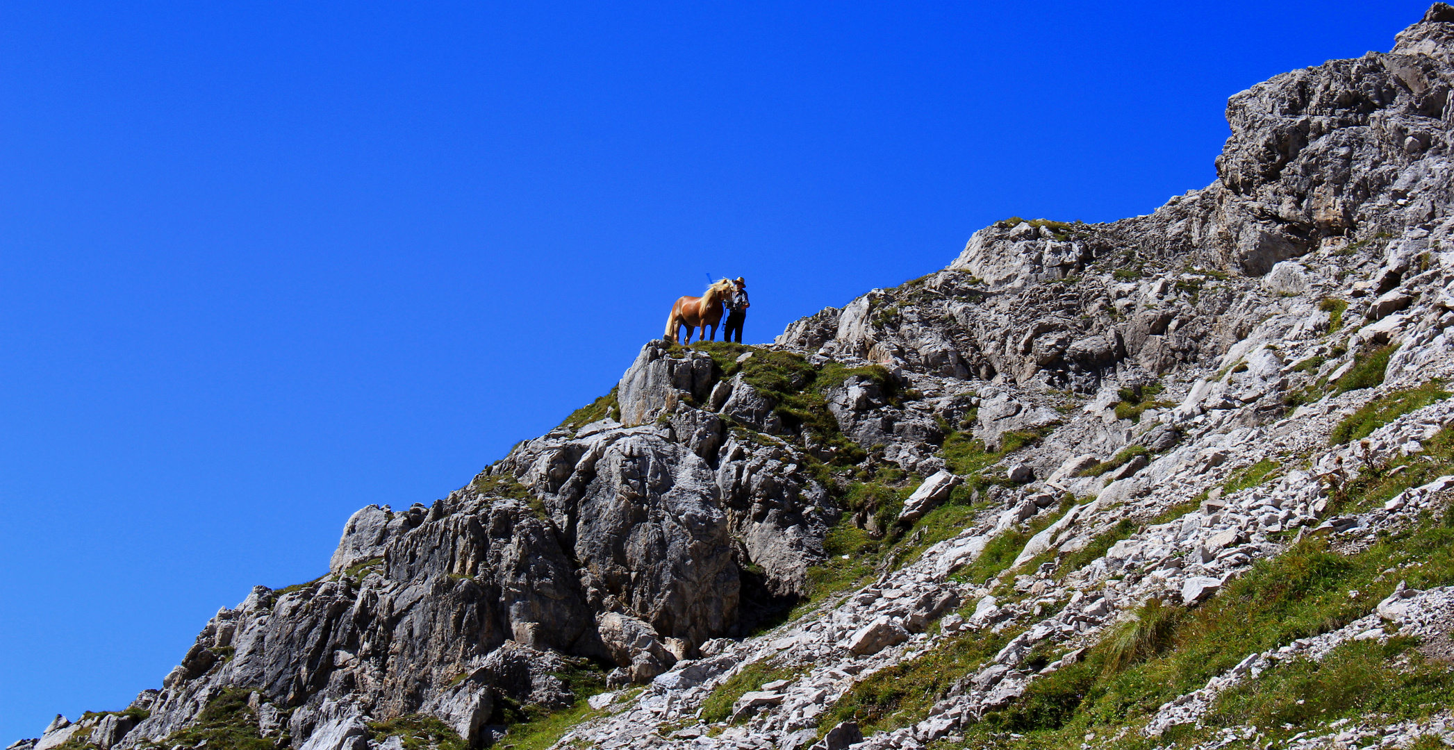 Am Gufelgrasjoch 2382m