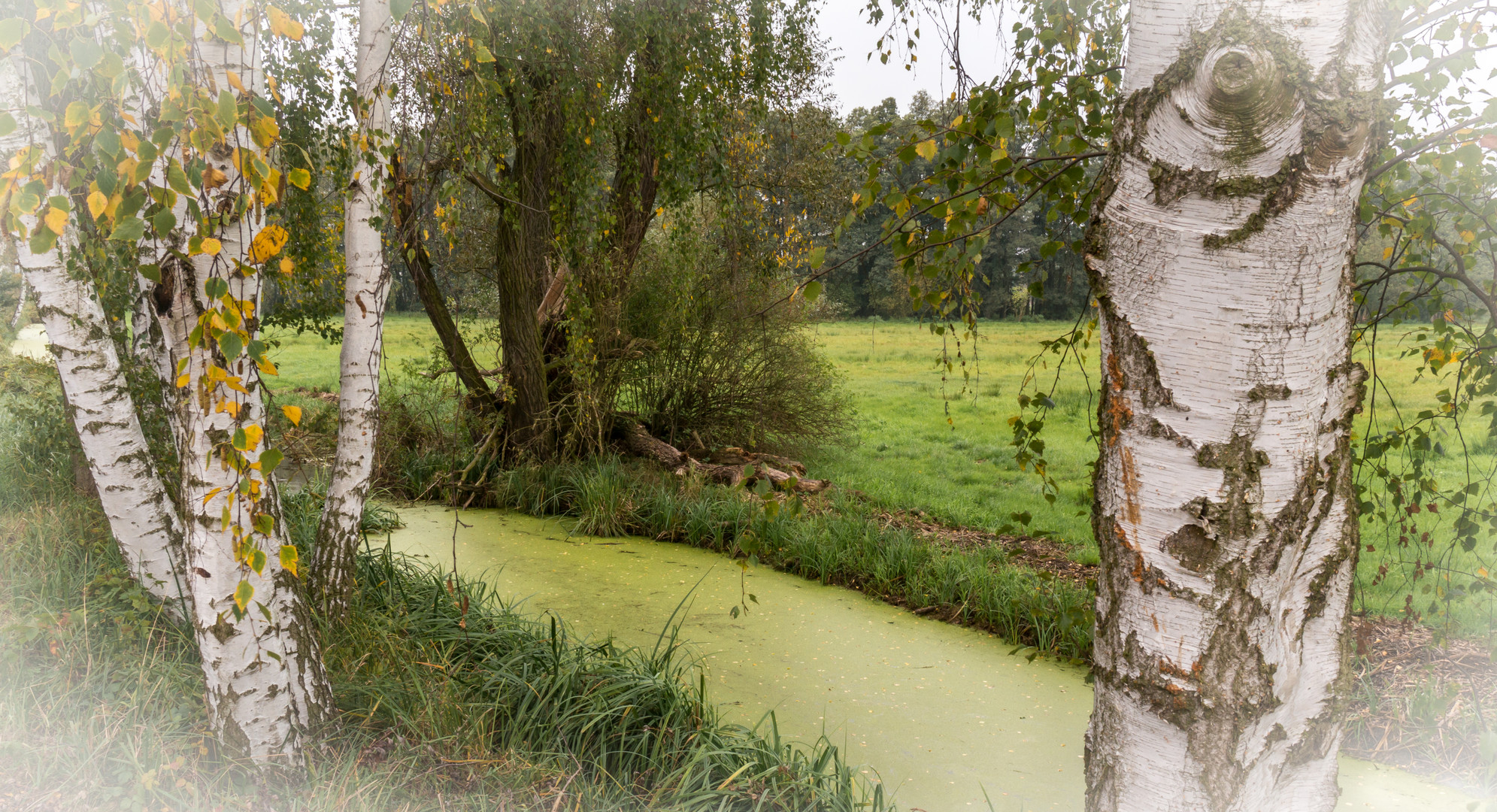 am Gurkenradweg III - Spreewald