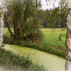 am Gurkenradweg III - Spreewald