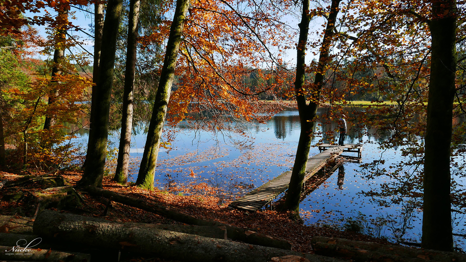 Am Hackensee