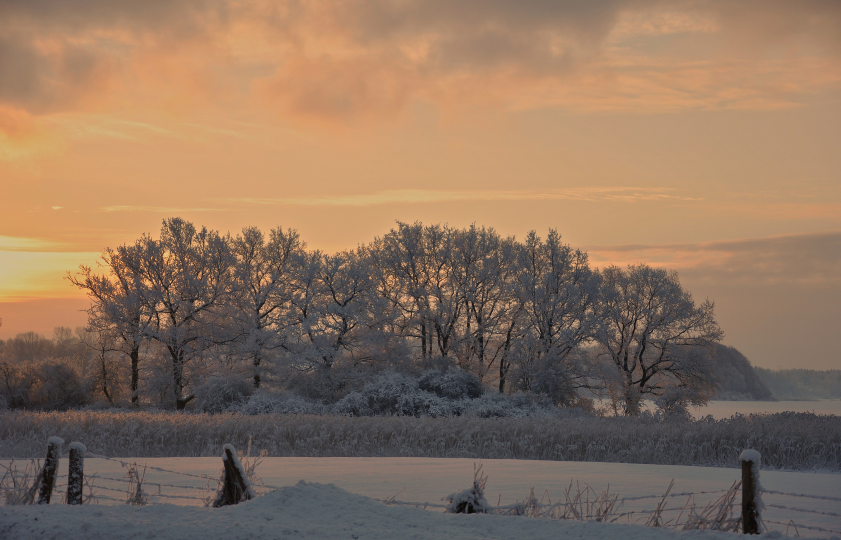 Am Haddebyer Noor / Schleswig