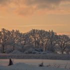 Am Haddebyer Noor / Schleswig