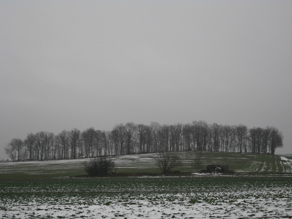 Am Haderberg / Zoom