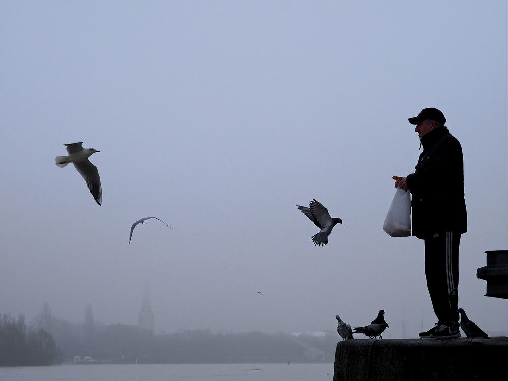 Am Hafen