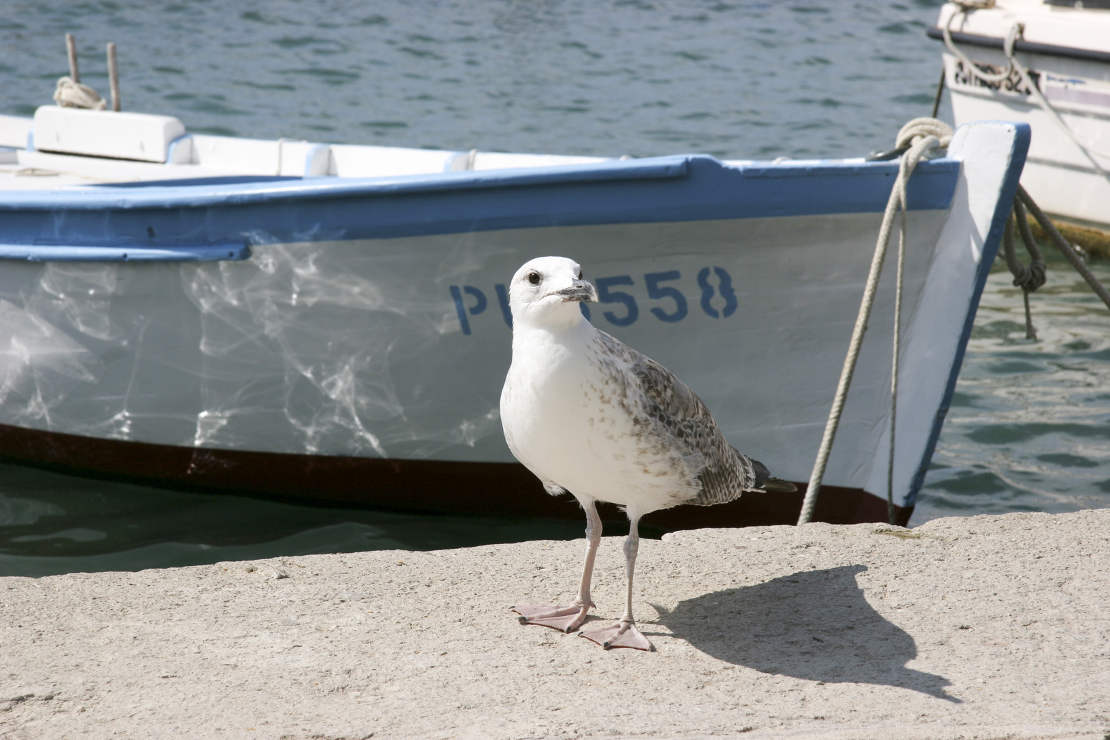 Am Hafen