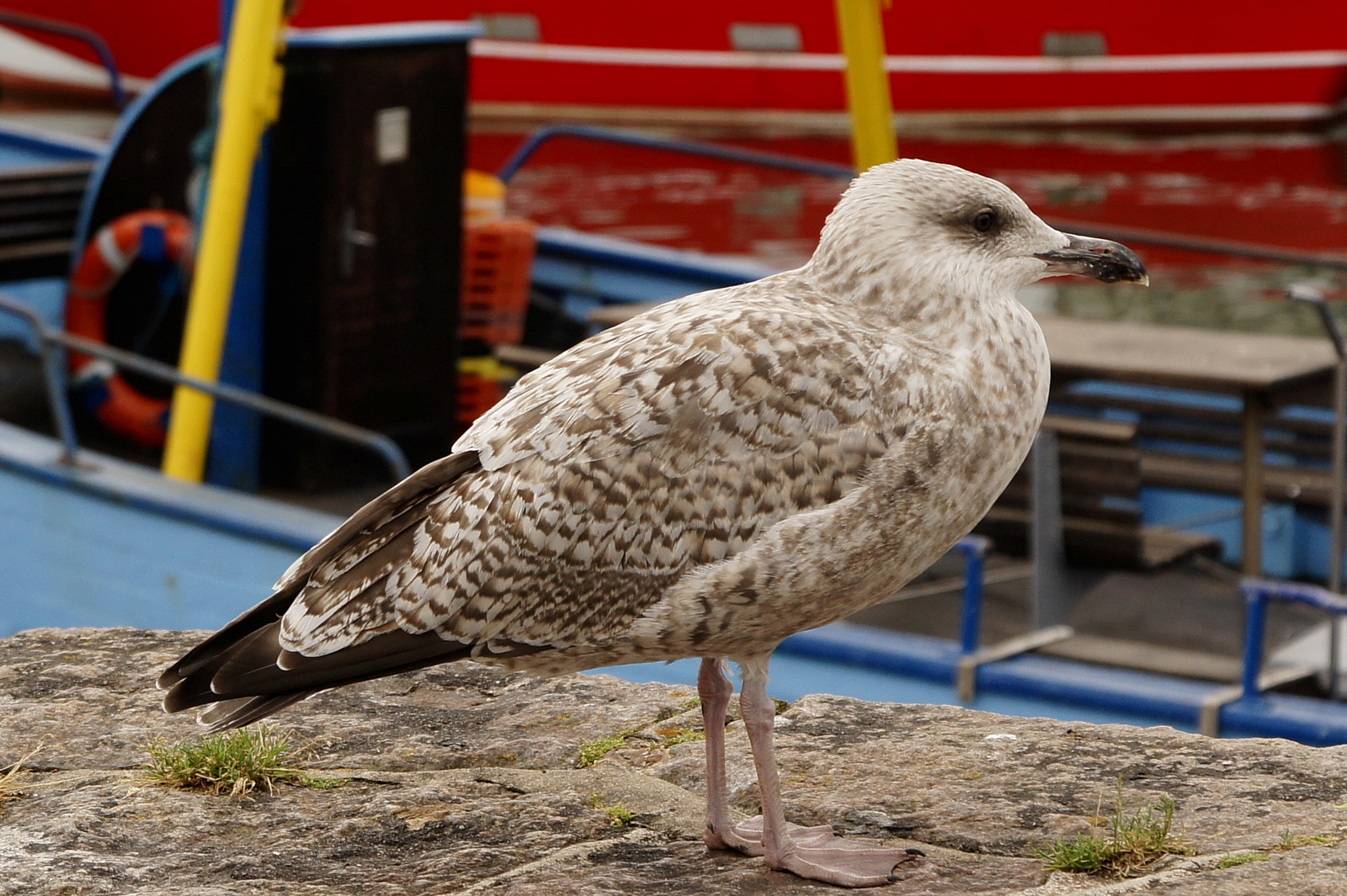 Am Hafen