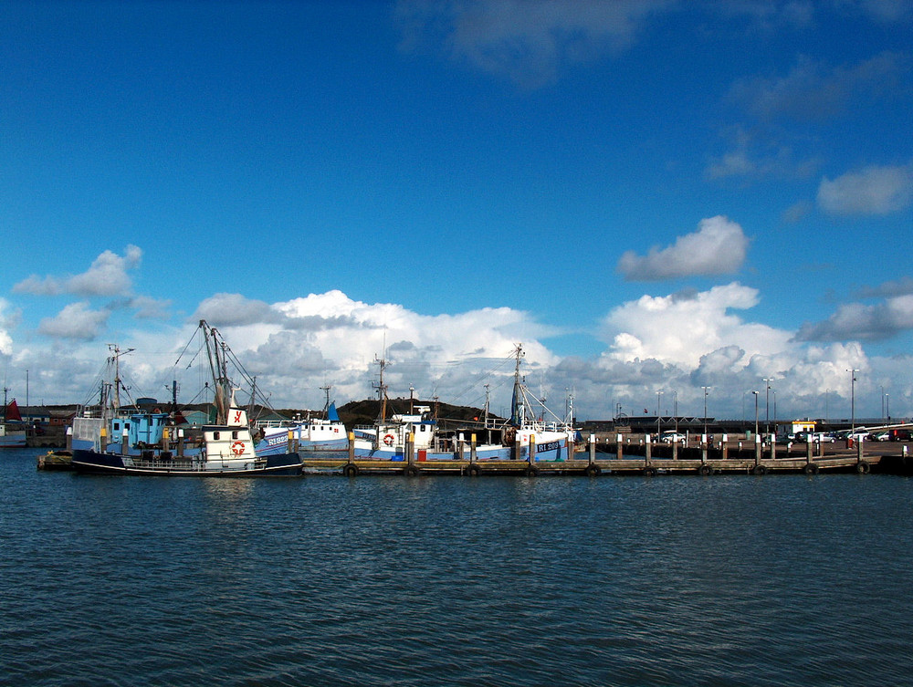 Am Hafen in Hvide Sande / Dänemark