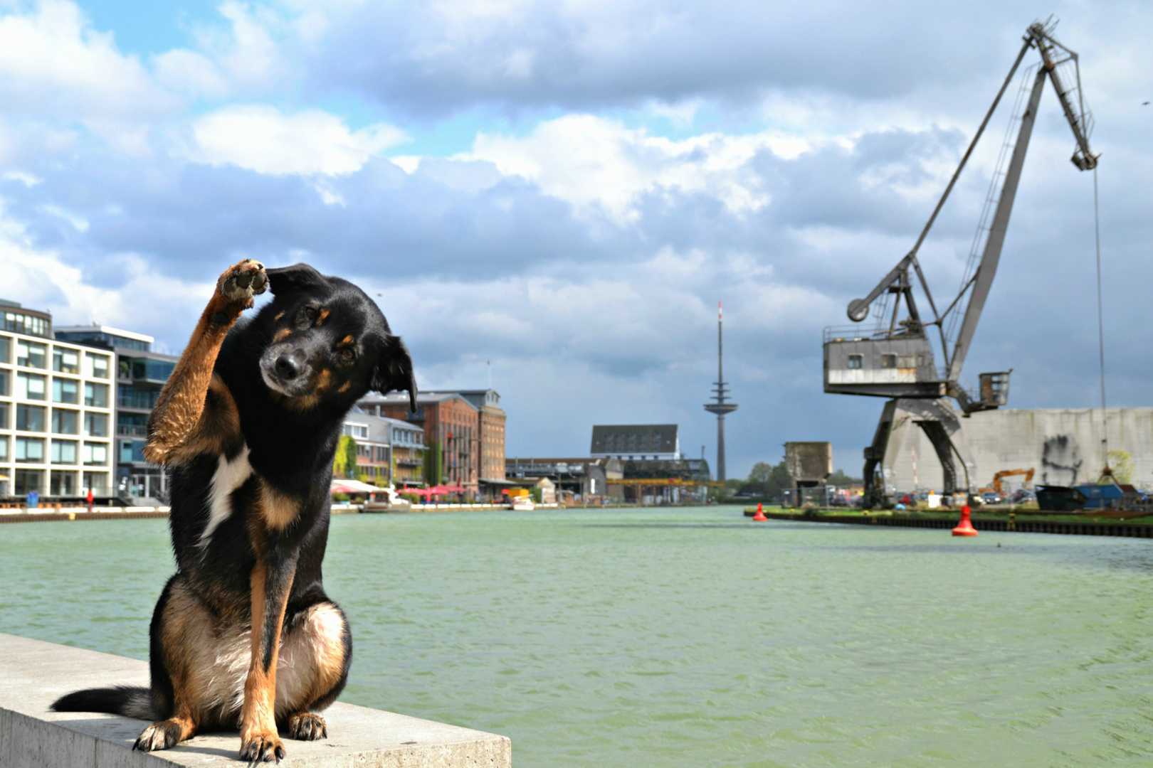 am Hafen in Münster