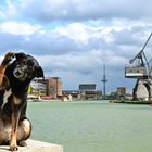 am Hafen in Münster