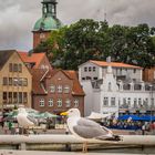  am Hafen  - Kappeln an der Schlei/Schl.-Holstein