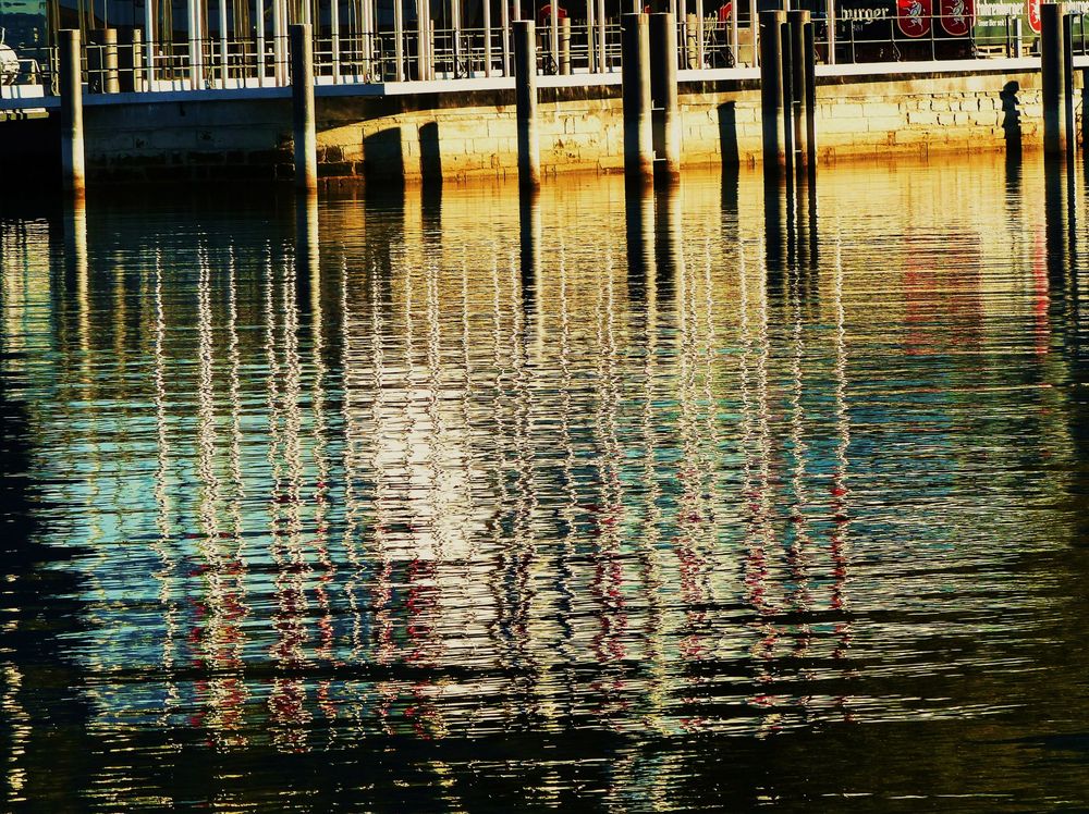 Am Hafen von Bregenz