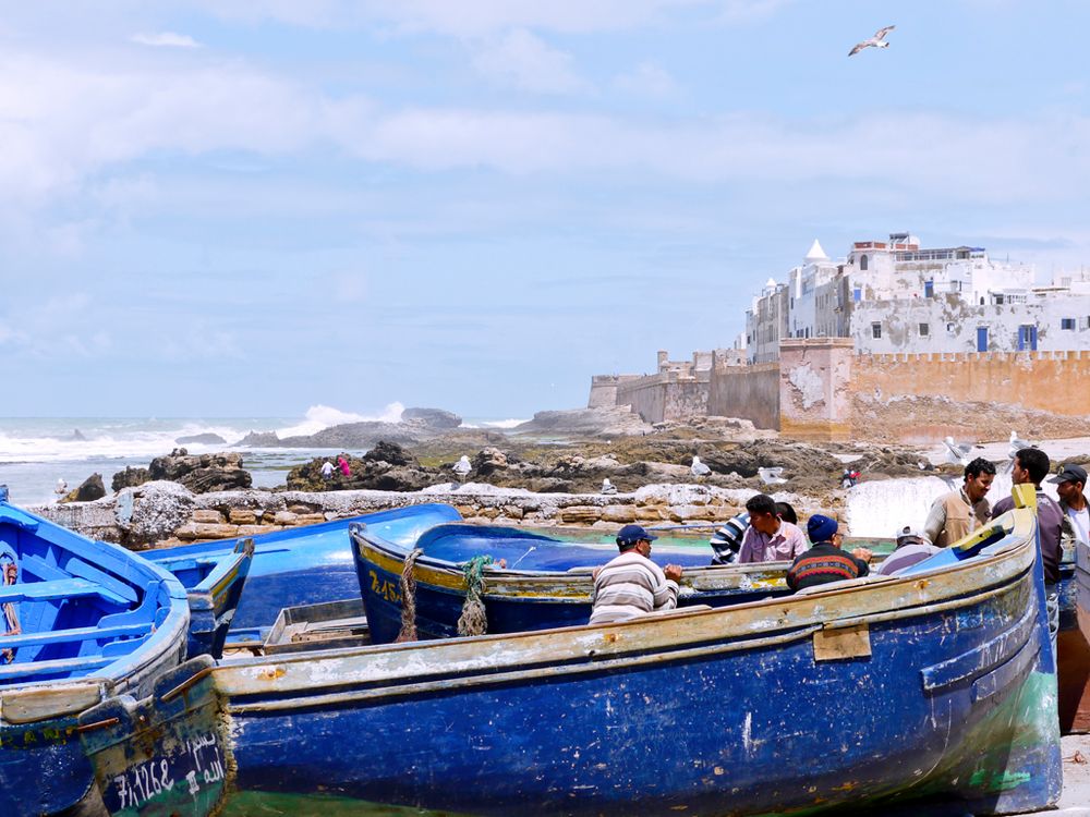 Am Hafen von Essaouira  04/2011