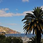 Am Hafen von Funchal