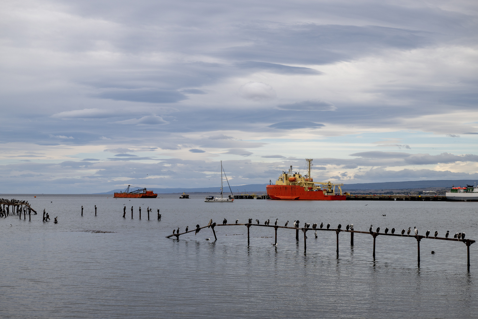 Am Hafen von Punta Arenas