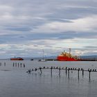 Am Hafen von Punta Arenas