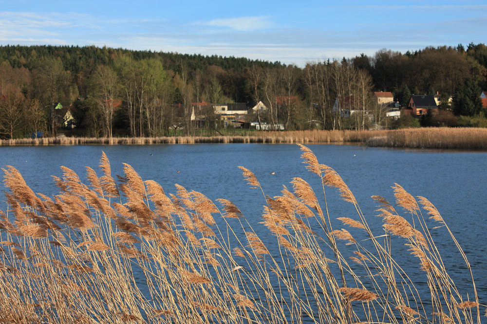 Am Hainspitzer See