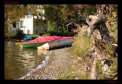 Am Haldensee