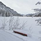 Am Hallersee (Tannheimertal)