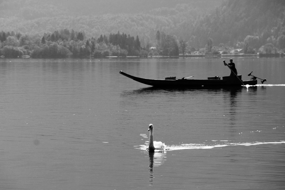 Am Hallstättersee