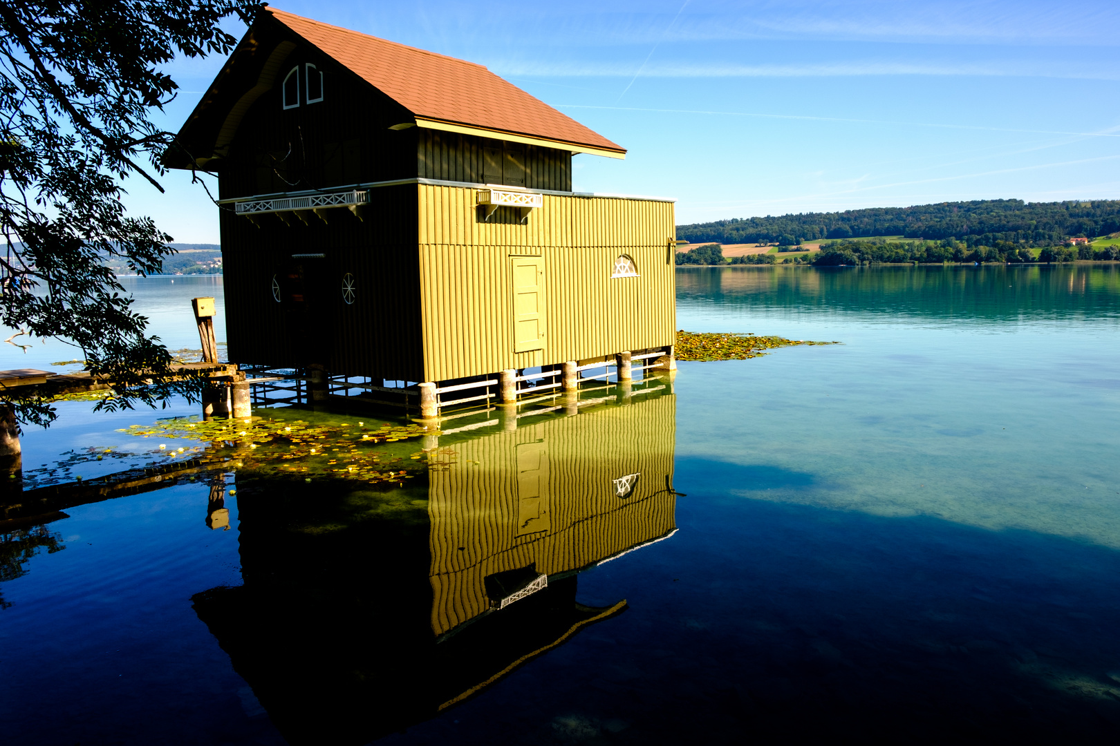 Am Hallwiler See