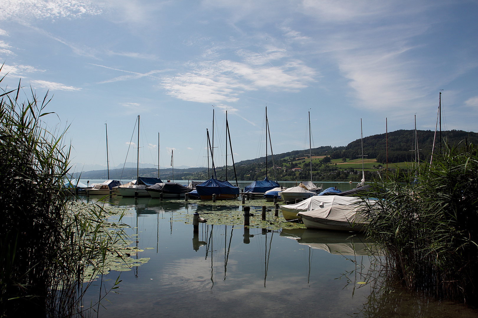 Am Hallwiler See