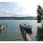 Am Hallwilersee