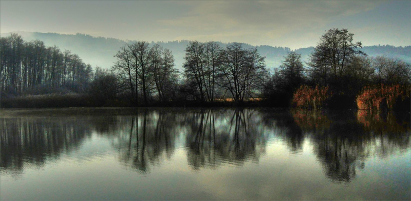 Am Hallwilersee