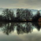 Am Hallwilersee