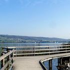 am Hallwilersee